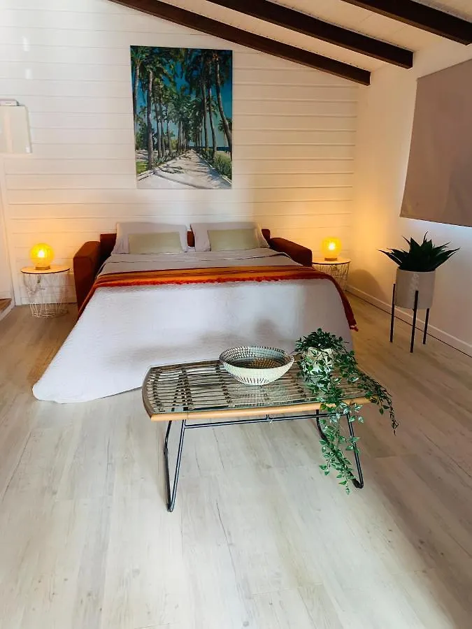 Somptueux Duplex Sur La Route Des Plages Sainte-Anne Martinica