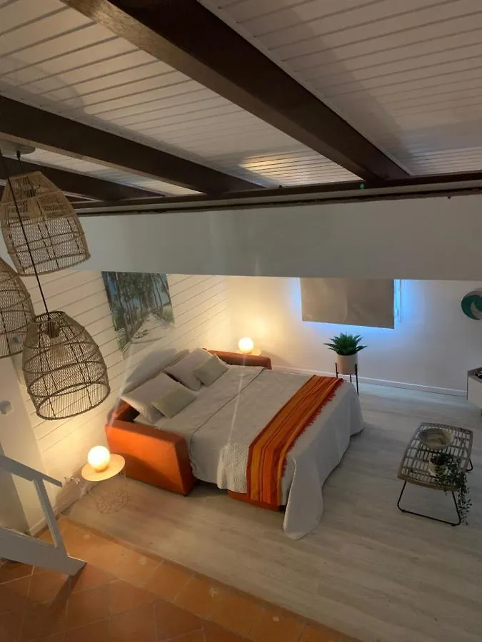公寓 Somptueux Duplex Sur La Route Des Plages 圣安娜